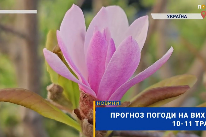 Головні новини - 9ee09193-0172-4b3c-86f4-fa9334f86f8d - зображення